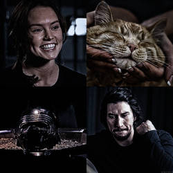 Reylo!AU [Hux's cat]