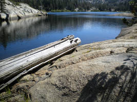 Of Lakes and Logs