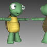 Turtle Model Complete