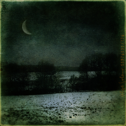 Winter moon