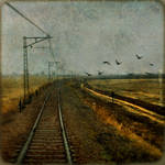 Railroad to Nowhere by IMAGENES-IMPERFECTAS