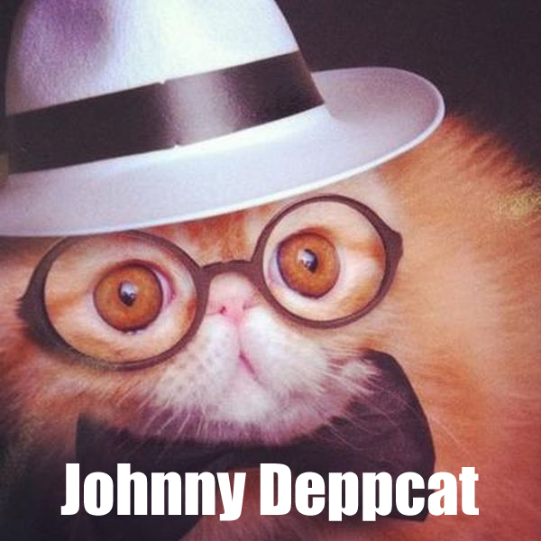 Johnny Deppcat