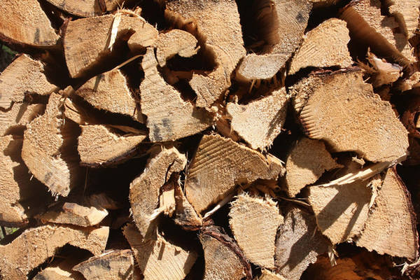 Log pile by Texturegen