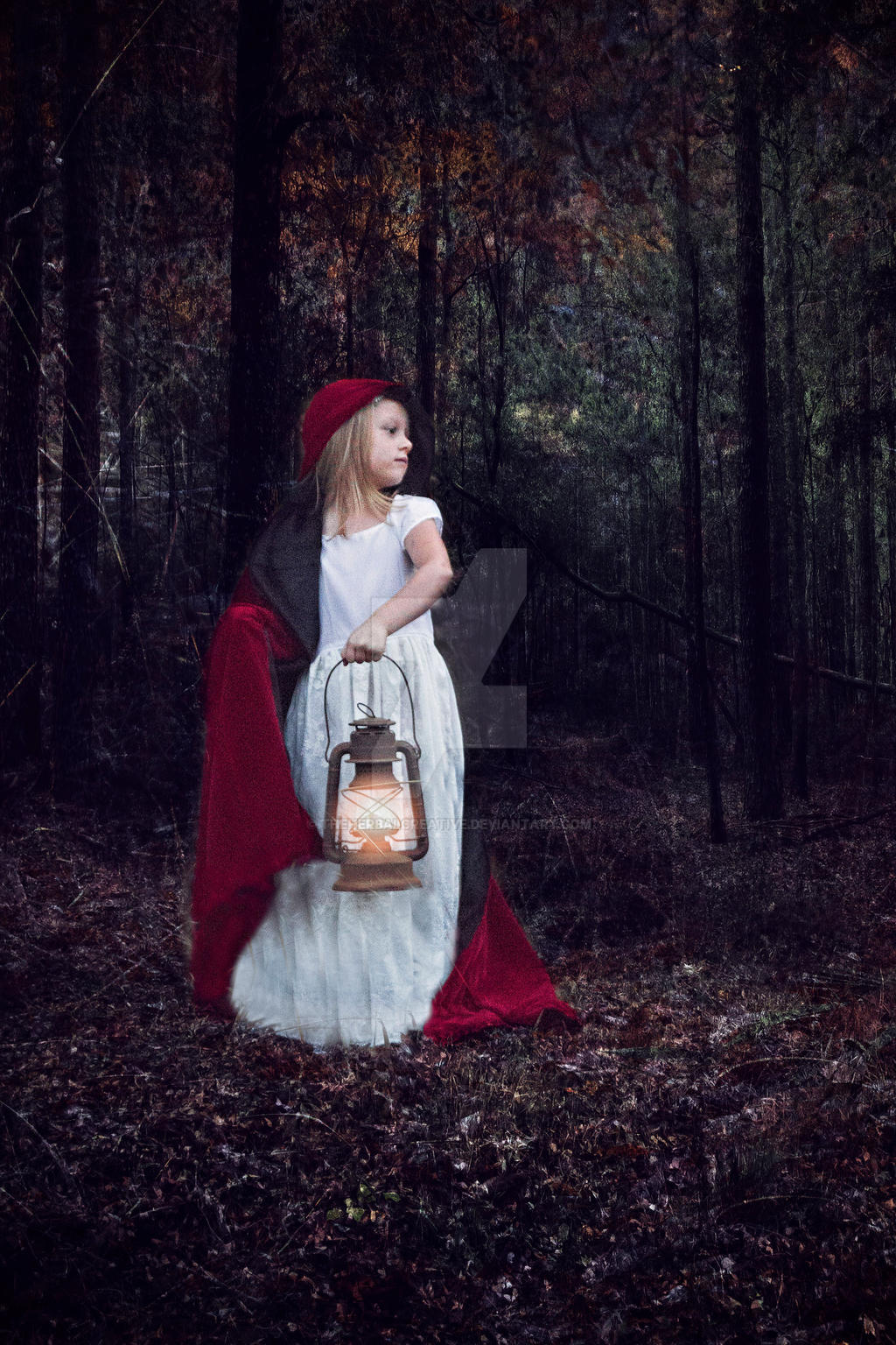 Little red riding hood stock 1