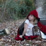 Little red riding hood stock 10