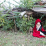 Little red riding hood stock 11