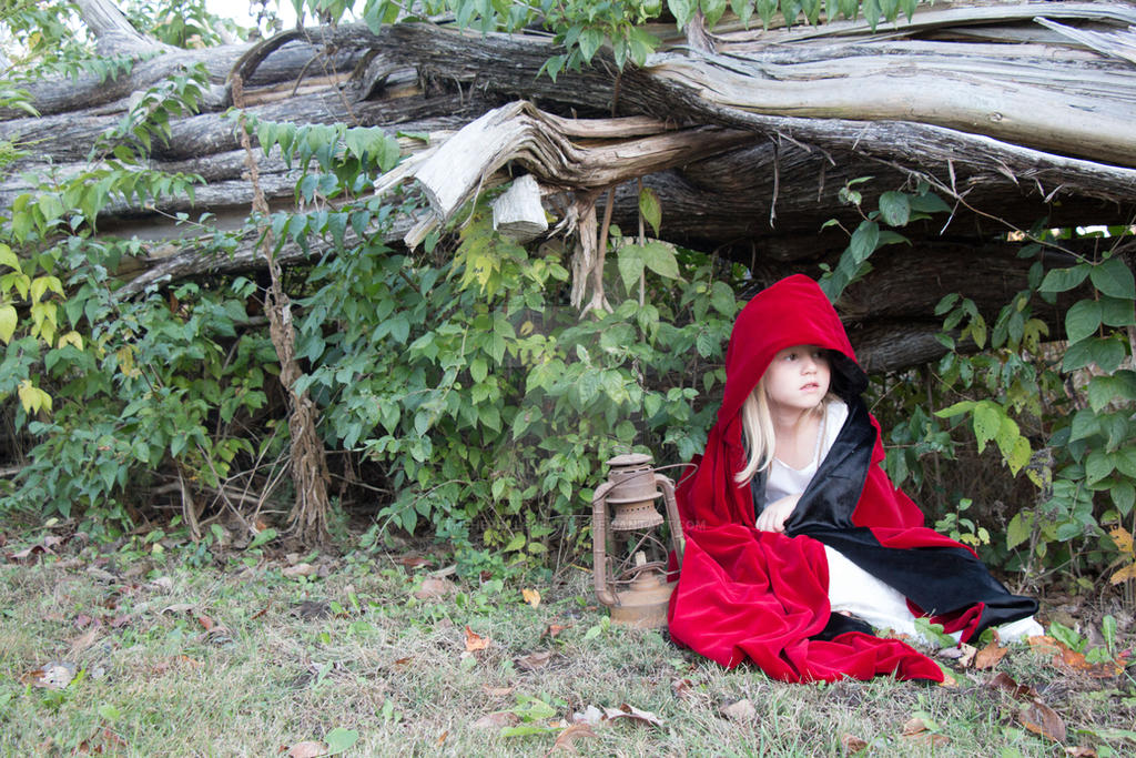 Little red riding hood stock 12