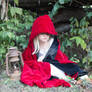 Little red riding hood stock 13
