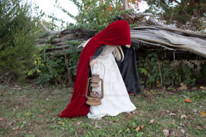 Little red riding hood Premium Stock 1