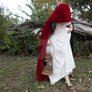 Little red riding hood stock 16