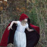 Little red riding hood stock 21