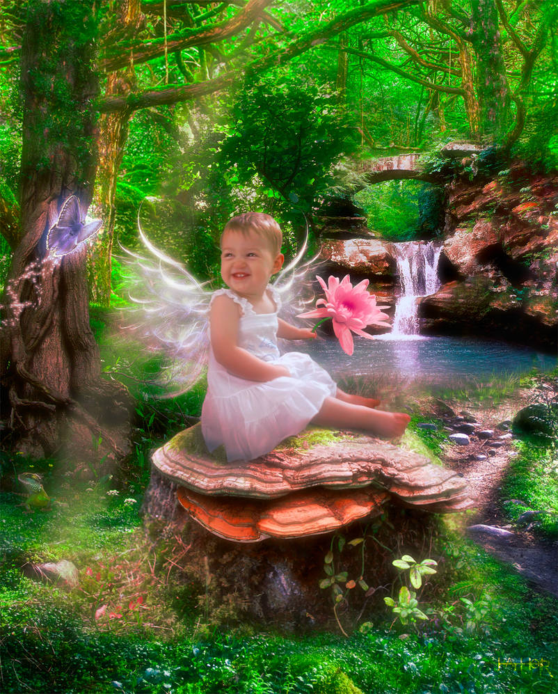 Heart of the forest by III-HATHOR-III