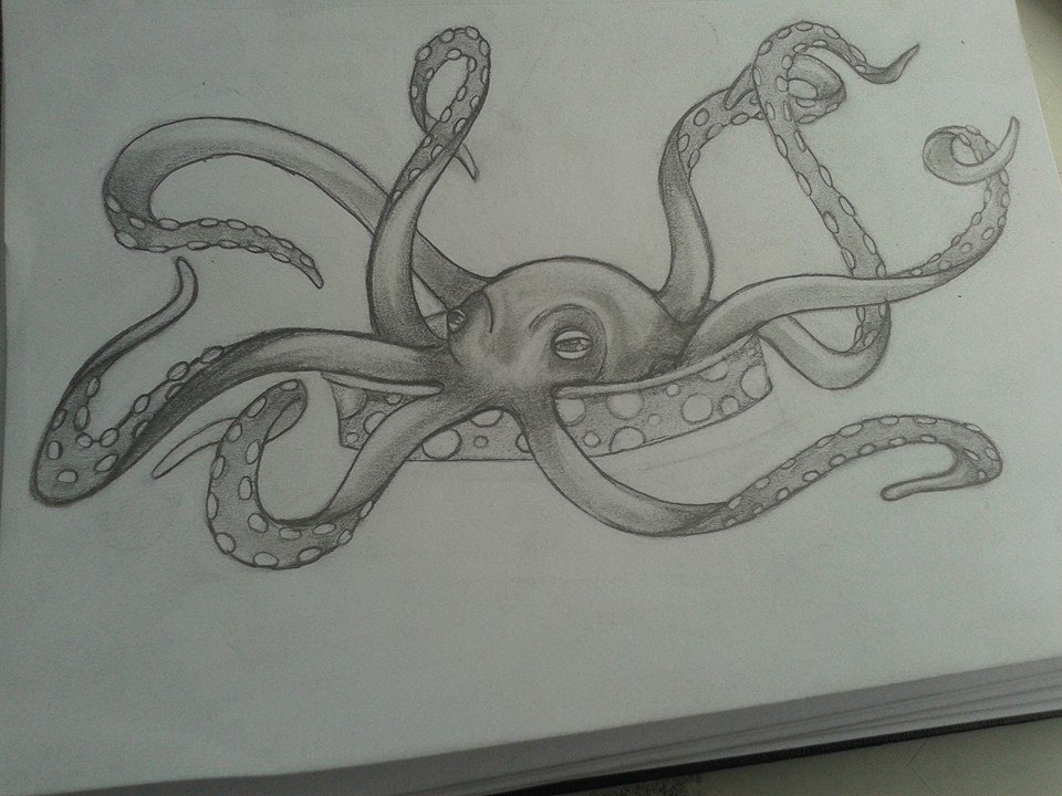 Octopus