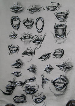 Lips Study