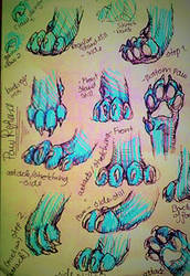 Explore the Best Paw Art | DeviantArt