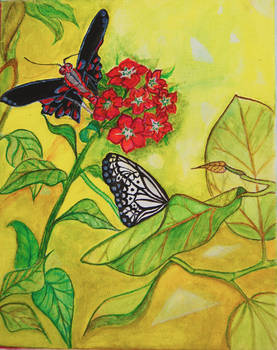 Two Butterflies