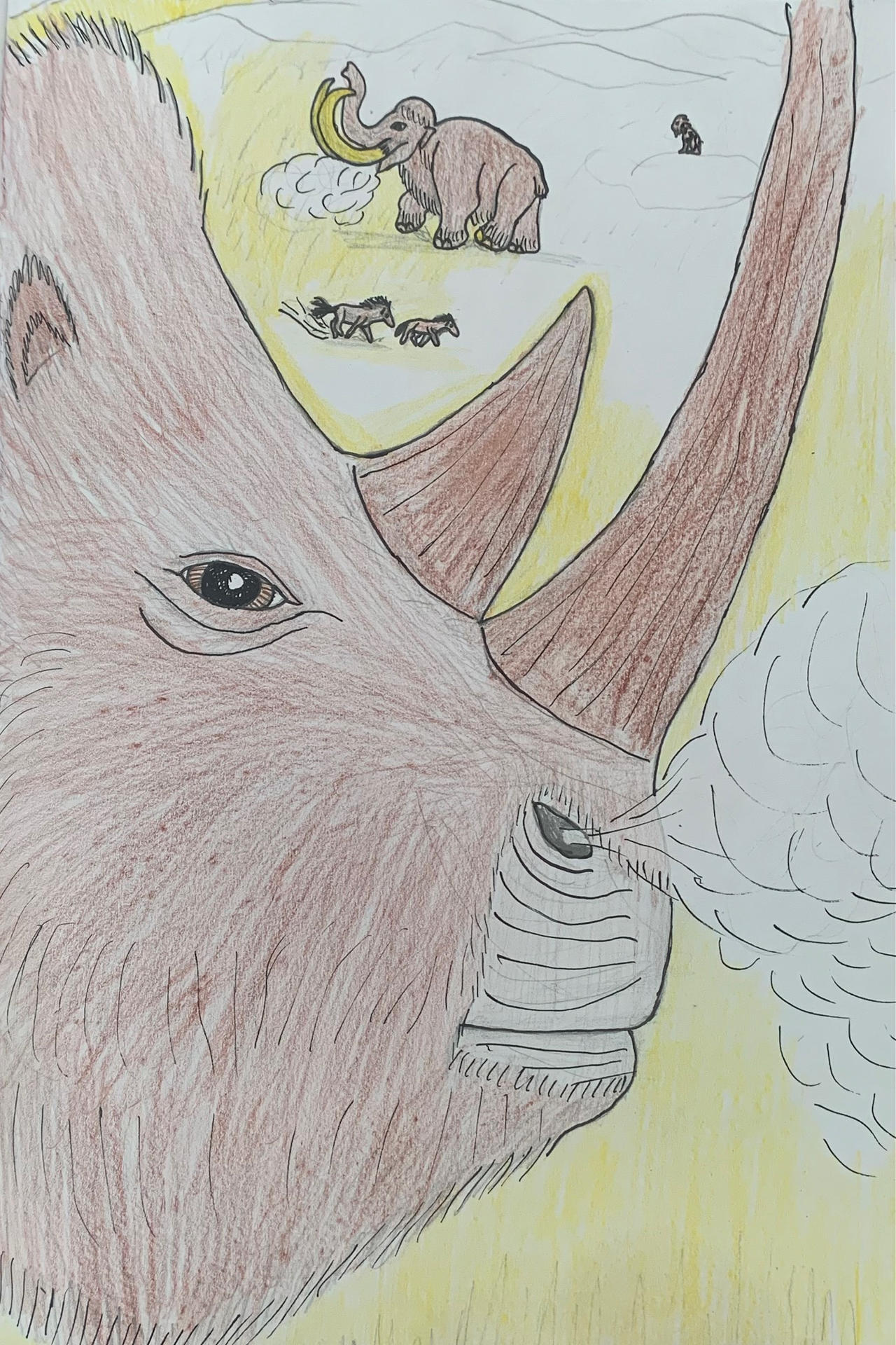Rhinoceros Laineux By Manutroodon On DeviantArt rhinoceros-laineux-by-manutroodon-on-deviantart