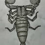 Dessin de scorpion dessiner par Manutroodon