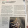 Article scientifique sur le Spinosaurus Mirabilis