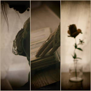 misty reminiscences...
