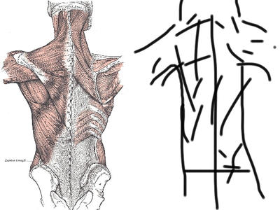 Subhuman Back Human Anatomy - Back by pedropj123 on DeviantArt