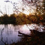 Leaves and water.