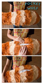 Red Panda Zipper