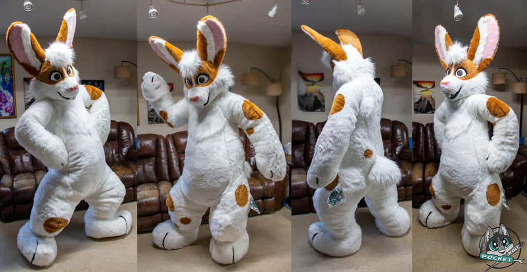 Skippy Bunny by PocketWolfFursuits on DeviantArt