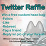 Twitter Raffle