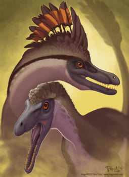 Velociraptor Pair