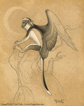 Spot-nosed Flying Monkey