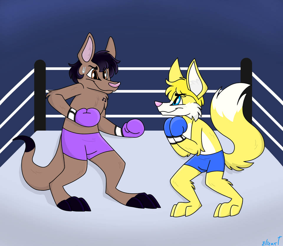 Deviantart Tails Boxing boxing match by ponymph on DeviantArt