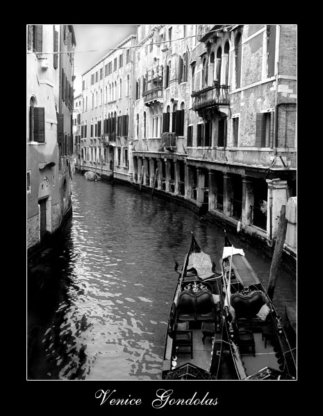 Venice Gondolier