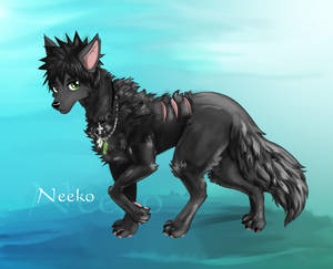 Neeko Feral