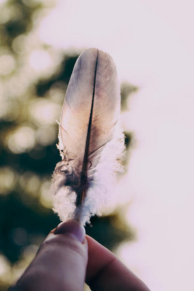 feather.