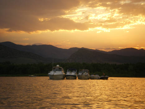 A gathering on the Water