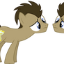 Doctor Whooves{changeling}