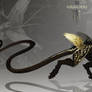 Adopt auction AURORACINERIS )CLOSED(
