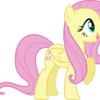 Fluttershy full