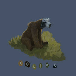 Kodiak Camera