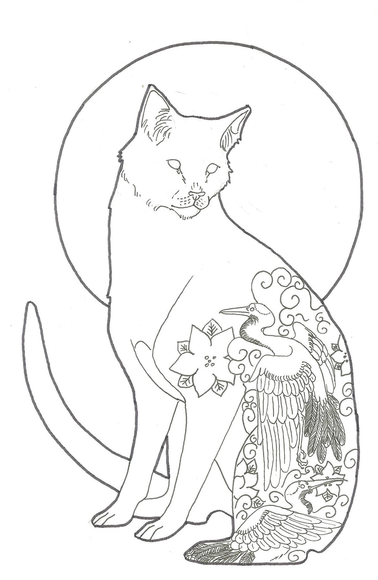 Tabby- Lineart