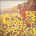 Sunflower Kiss by RebekaPhotography