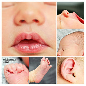 Newborn Details