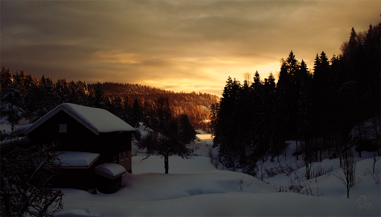 Winter Morning