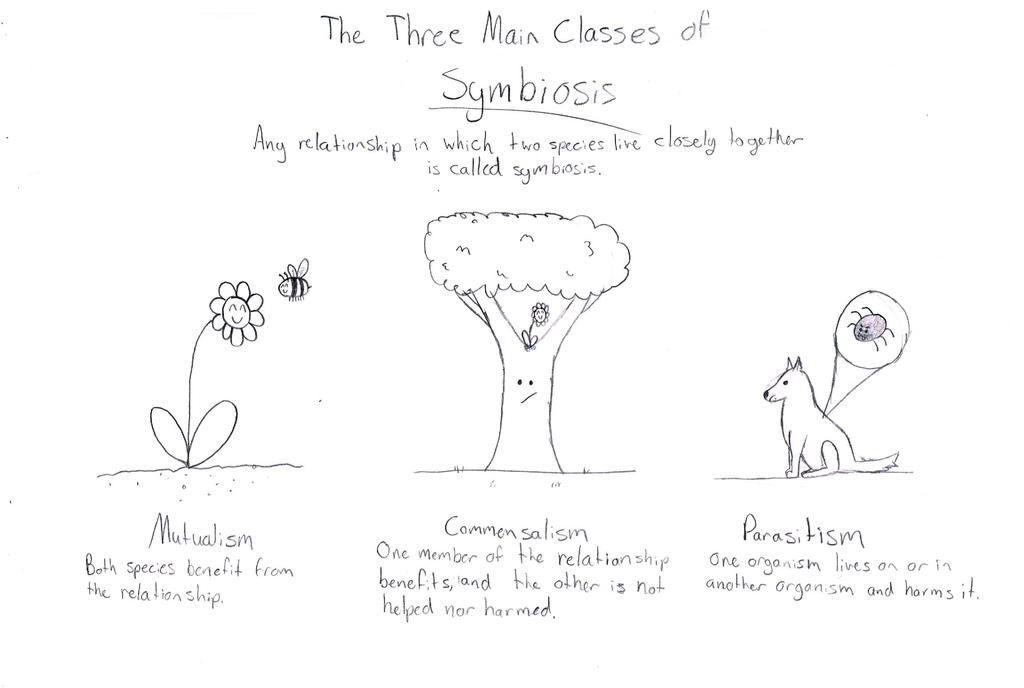 Biology Cartoon: Symbiosis by LittleHayseed on DeviantArt Biology Cartoon: Symbiosis by LittleHayseed on DeviantArt