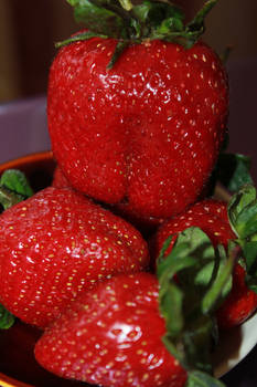 Strawberries portret :)