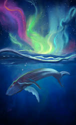 Whale in the night