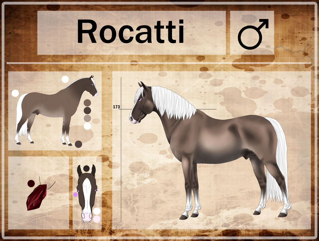 Rocatti - Reference Sheet