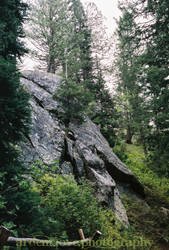 Grand Teton.