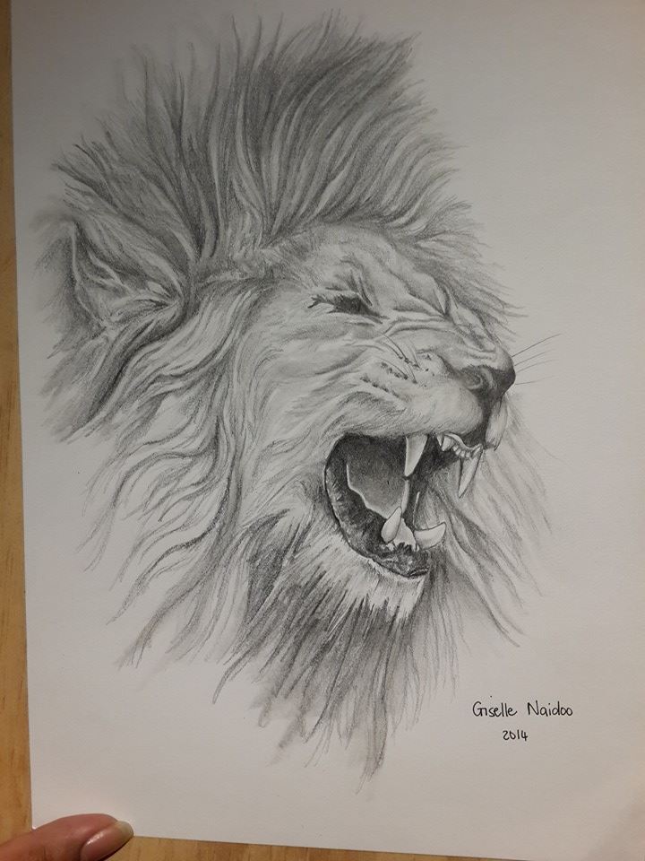 African Lion